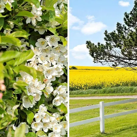 Дом отдыха G103-lemvig-klovervej-3